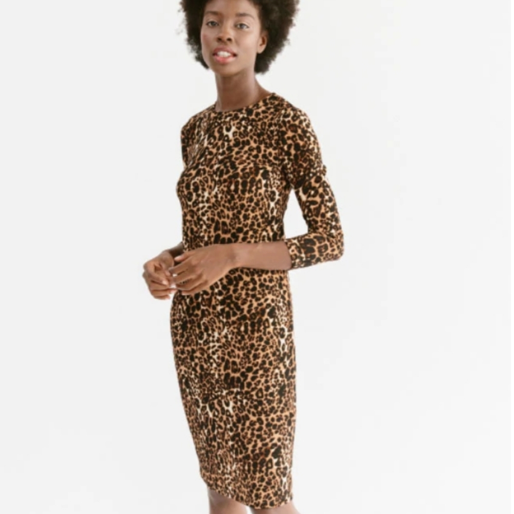 Sonnet James Reese Leopard Print dress Black and Brown Size Small